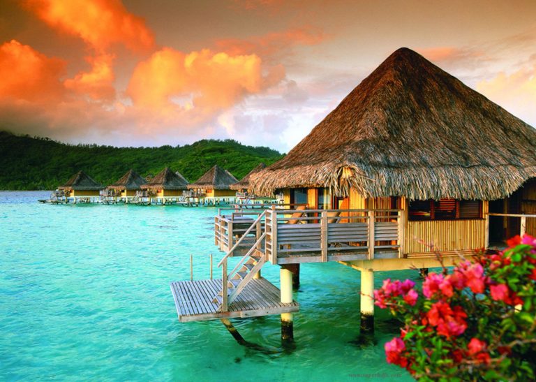 Andaman Honeymoon Package