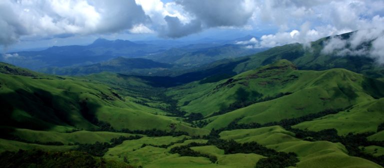 Coffee Wildlife & Tea Tour